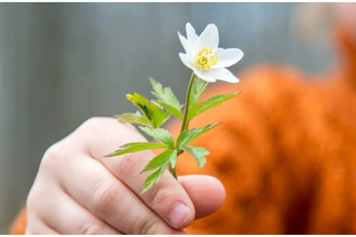 Foto: copyright shutterstock.com