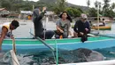 Wisatawan memberi makan Hiu Paus (Shark Whale) di Desa Botu Barani, Kabupaten Bone Bolango, Gorontalo, Senin (4/7). Kehadiran Hiu Paus menjadi sorotan wisatawan lokal dan mancanegara. (Liputan6.com/herman Zakharia)