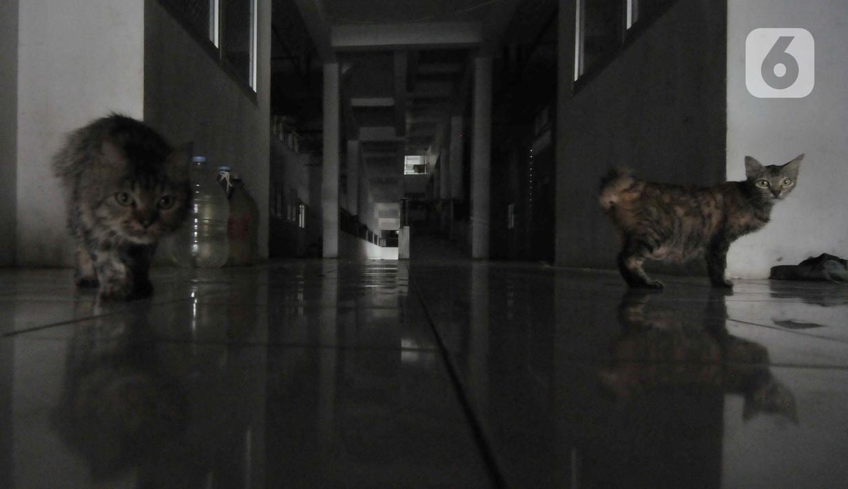 Awalnya, pihak Jakpro dan Gubernur DKI Jakarta saat itu Anies Baswedan berjanji akan membuatkan rusun di belakang JIS bagi warga yang terkena gusur. (merdeka.com/Imam Buhori)