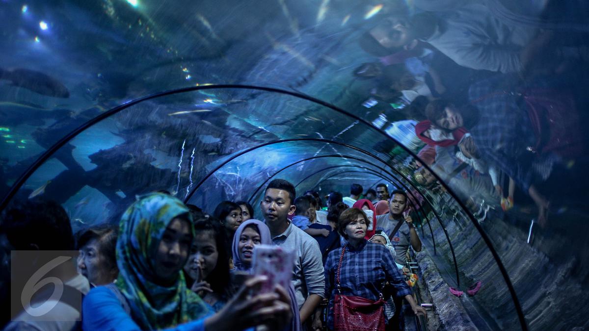 Harga Tiket Seaworld Ancol, Annual Pass Lebih Untung!