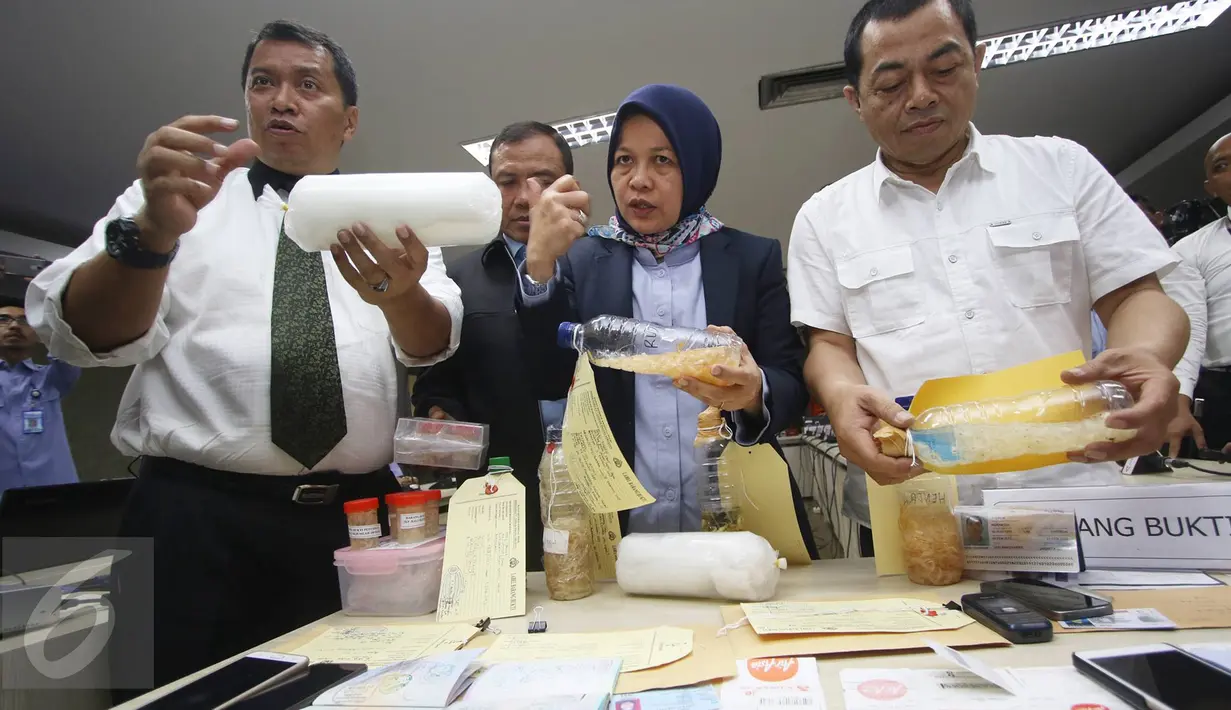 Wakabareskrim Irjen Pol Antam Novambar bersama Kepala BKIPM Rina (tengah) menunjukkan barang bukti beserta tersangka penyelundupan puluhan ribu benih lobster ke Singapura dan Vietnam, di kantor KKP, Jakarta, Senin (27/2). (Liputan6.com/Immanuel Antonius)