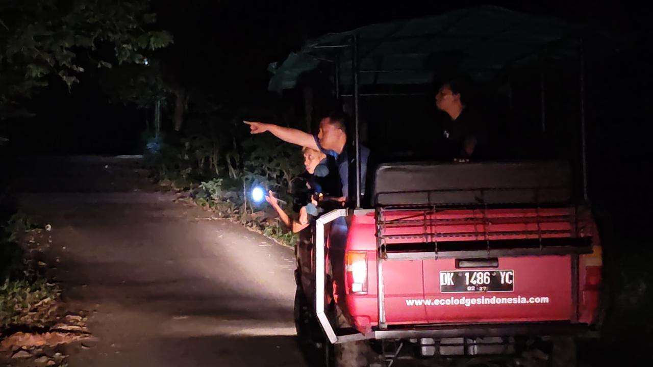 Menelusuri Wisata Jejak Gajah di Taman Nasional Way Kambas, Rute dari Jakarta Pakai Kapal Ferry