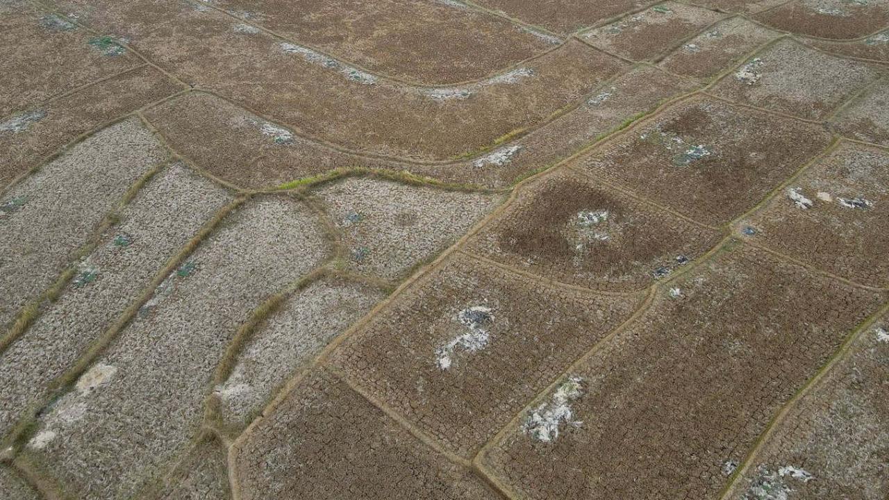 Foto udara memperlihatkan hamparan luas areal persawahan yang kering kerontang di Desa Ridogalih, Cibarusah, Kabupaten Bekasi, Jawa Barat, Rabu (1/11/2023).&nbsp;Fenomena El Nino membuat musim kemarau di Indonesia berlangsung lebih panjang dari biasanya.