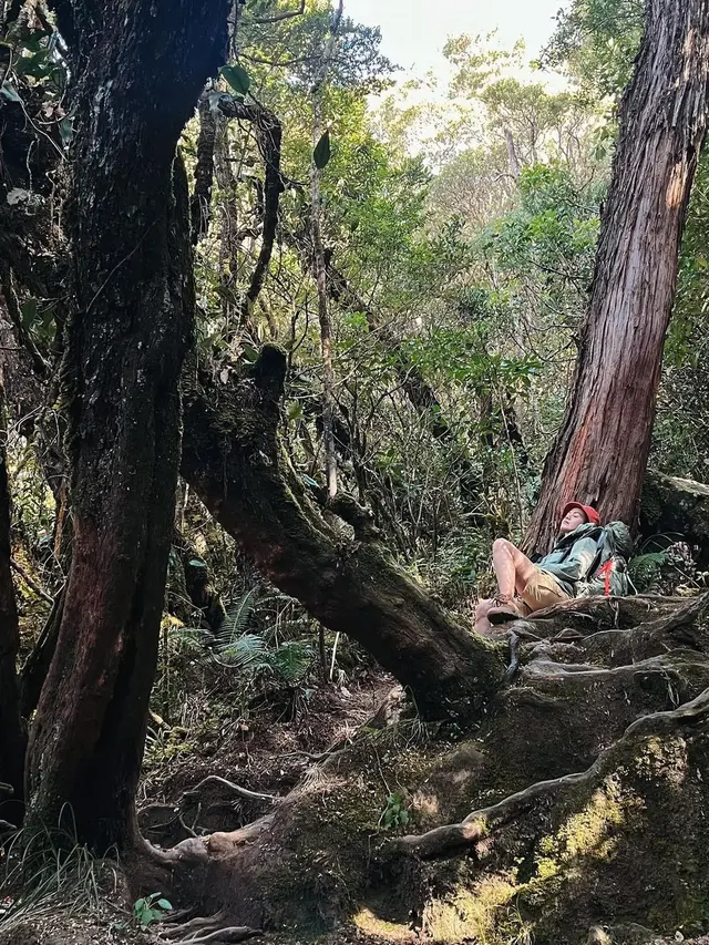 Della Dartyan di Gunung Gede Pangrango