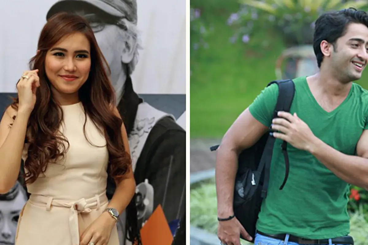 Ayu Ting Ting dan Shaheer Sheikh