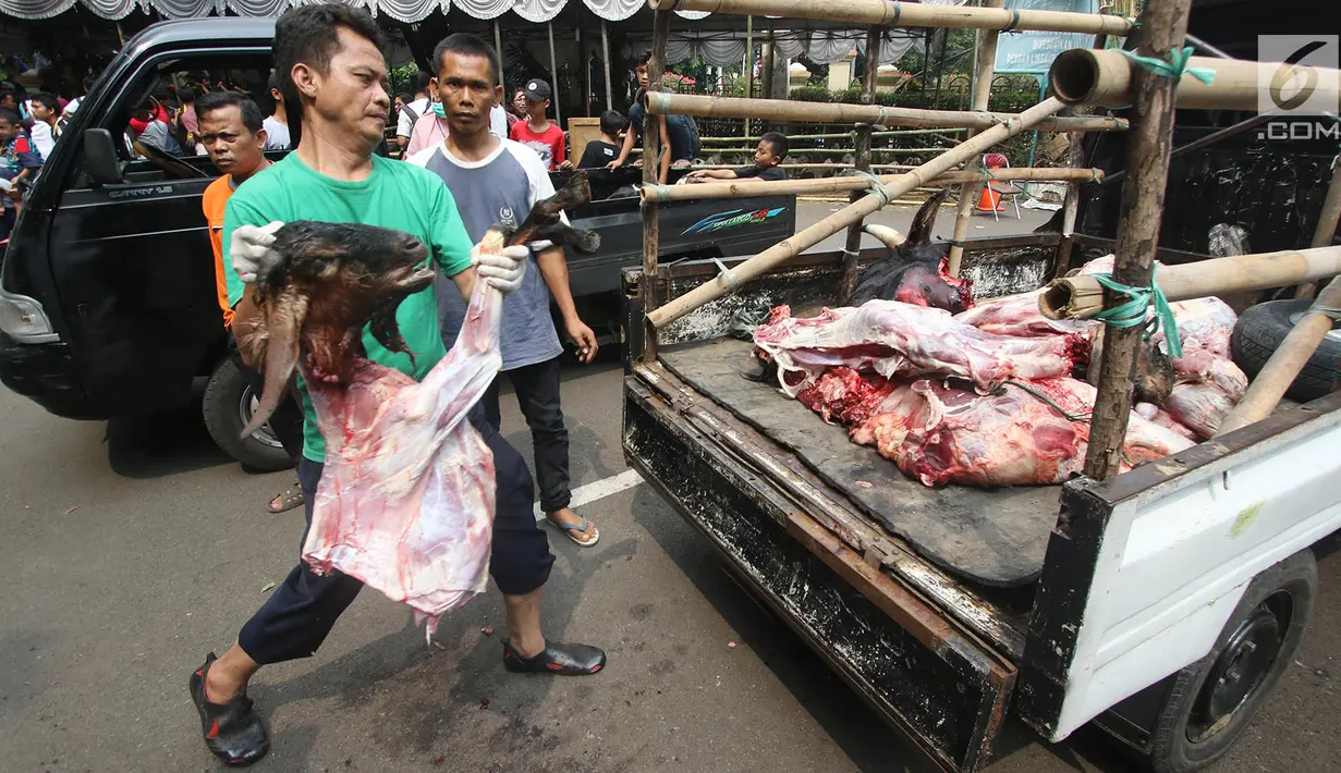 Petugas membawa daging kambing yang sudah dipotong untuk dibagikan di Masjid Sunda Kelapa, Jakarta, Jumat (1/9). Daging tersebut akan dibawgikan kepada yayasan dan warga. (Liputan6.com/Immanuel Antonius)