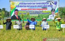 HSS Gelar Syukuran Panen dan Tanam Padi Serentak 2026, Perkuat Kemandirian Pangan Daerah