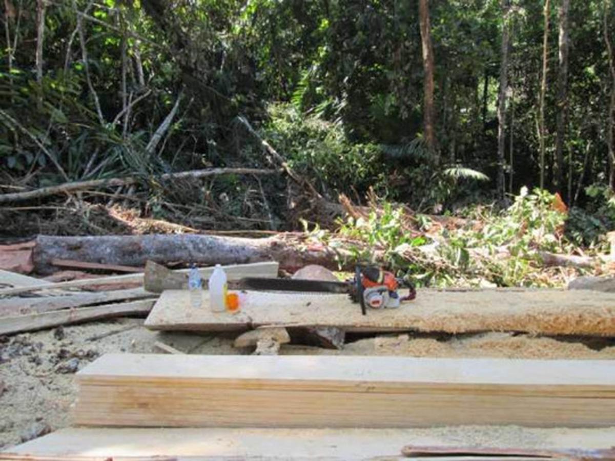 Parahnya kerusakan hutan lindung di Sulut akibat tambang ilegal