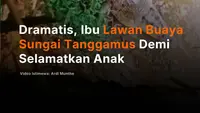 Dramatis, Ibu Lawan Buaya Sungai Tanggamus Demi Selamatkan Anak