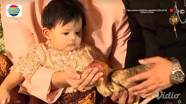 Atta Halilintar dan Aurel Hermansyah mendampingi putri mereka Ameena Hanna Nur Atta menjalani upacara Tedak Siten di acara 7 bulanan. (Foto: Indosiar/Vidio)