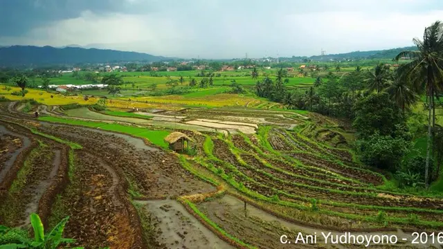 Karya Fotografi Ani Yudhoyono