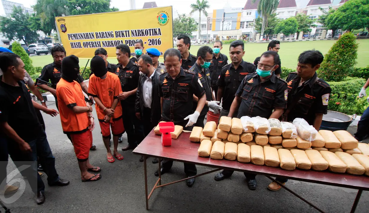 Direktorat Reserse Narkoba Polda DIY menunjukkan barang bukti sitaan berupa 49 kilogram ganja kering di Mapolda DI Yogyakarta, Selasa (8/3). Barang bukti tersebut merupakan hasil operasi Narkoba Progo sepanjang Februari 2016 lalu. (Foto : Boy Harjanto)