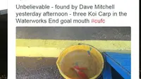 Tiga Ekor Ikan 'Menyusup' ke Lapangan Carlisle United