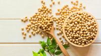 Kacang Kedelai / Sumber: iStockphoto