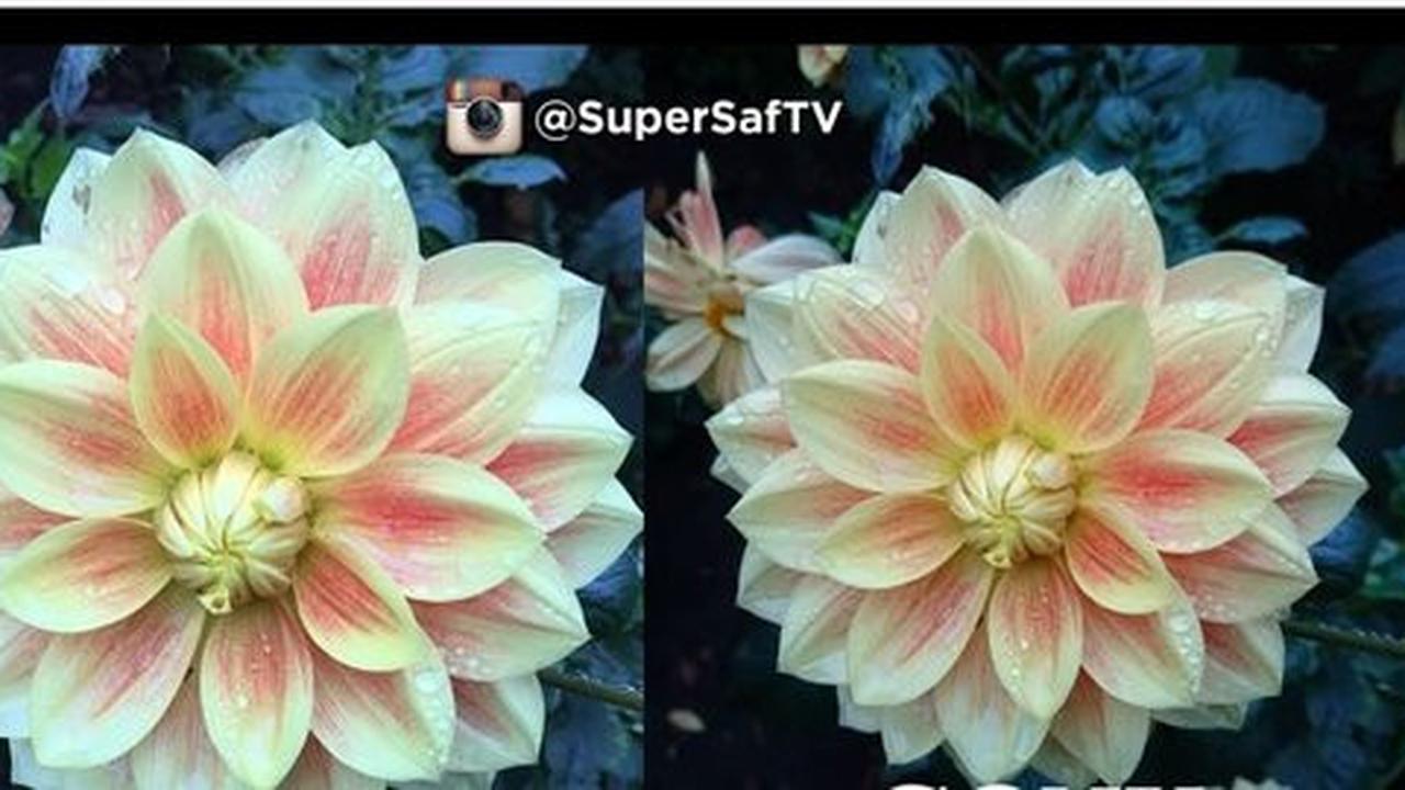[Video] Ini hasil foto iPhone 6s Plus dan Xperia Z5, siapa terbaik?