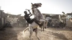 Seorang joki berlatih untuk mengendalikan kudanya di Ouagadougou (1/2/2022). Bagi banyak orang budaya kuda Burkinabe memainkan peran penting dalam kehidupan mereka, mulai dari beternak kuda untuk balap atau berpakaian, atau hingga acara pacuan kuda hari Minggu di trek lokal. (AFP/John Wessels)