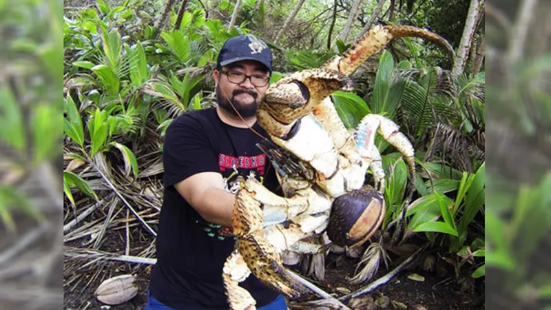 Ditemukan Kepiting Raksasa di Pohon, Warga Histeris