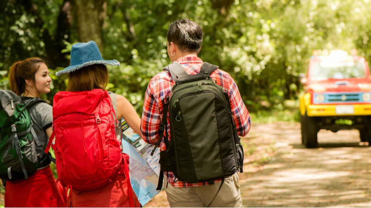 Mengenal Tren 'Adult Field Trips', Nostalgia Keseruan Study Tour ala Masa Sekolah