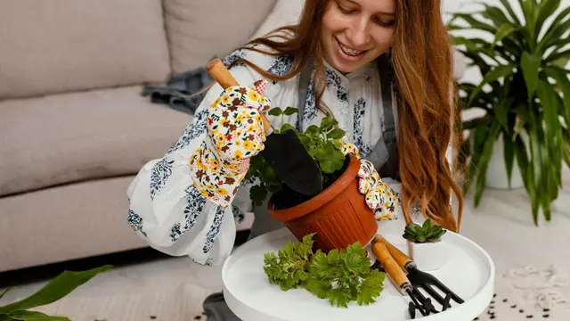 Ilustrasi menanam sayuran dalam pot/freepik.com/jcomp