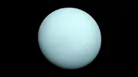 Gambar planet Uranus yang diambil oleh pesawat ruang angkasa Voyager 2 NASA pada 1986.  (NASA / JPL-Caltech)