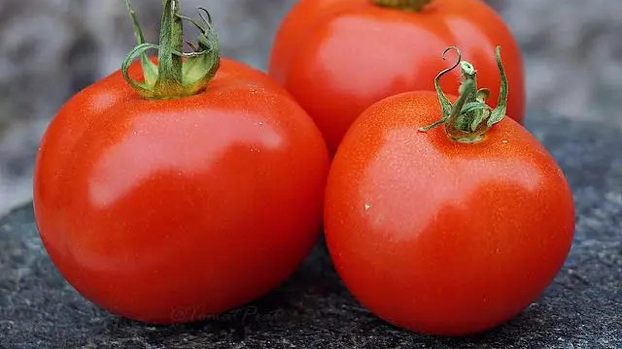 Cara Sederhana Menurunkan Kolesterol secara Alami dengan Sayur Tomat