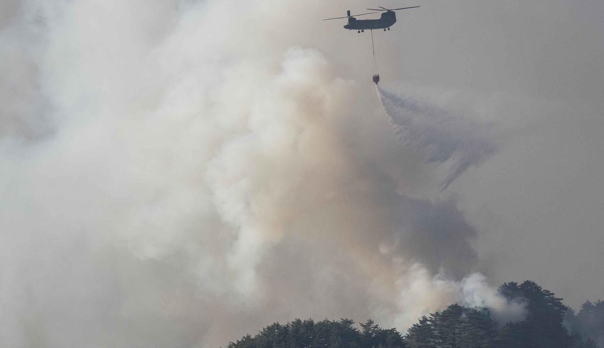 Sebuah helikopter Pasukan Bela Diri Jepang menjatuhkan air ke bagian depan kobaran api di dekat kota Otsuchi, Prefektur Iwate, Jepang pada Sabtu 25 April 2026. Hingga Ribuan petugas pemadam kebakaran masih berjuang memadamkan kebakaran hutan wilayah Otsuchi, Prefektur Iwate, Jepang. (ANDREW CABALLERO-REYNOLDS/AFP)