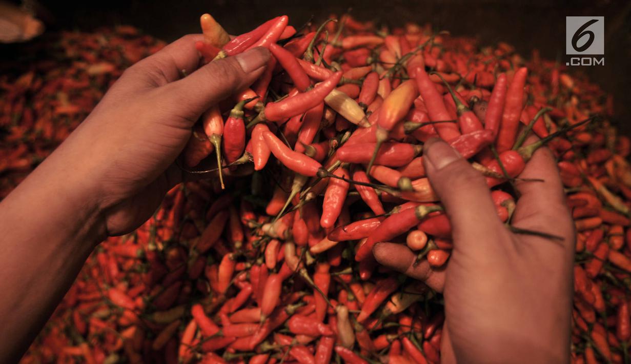 Pedagang merapikan cabai dagangannya di Pasar Induk Kramat Jati, Jakarta, Senin (8/7/2019). Harga cabai di pasar itu mengalami kenaikan dikarenakan berkurangnya pasokan dari petani akibat musim kemarau yang menyebabkan menurunnya jumlah produksi. (merdeka.com/Iqbal S Nugroho)