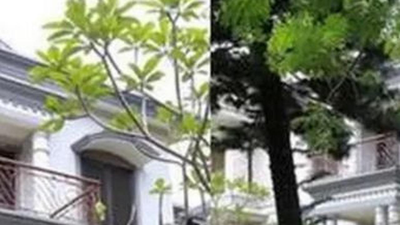 Foto Terkini Asrama AFI, Saksi Bisu Suka Duka Peserta