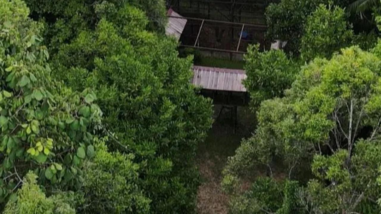Per Agustus 2023, Industri Kelapa Sawit Sumbang Devisa Rp326,3 Triliun ke Negara