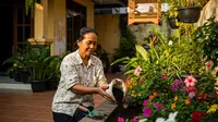 Kapan Harus Menambah Tanah di Bedengan Bunga dan Sayur? Ini Waktu Terbaiknya