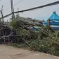 Pohon tumbang akibat angin kencang di Rancaekek, Kabupaten Bandung, Rabu, 21 Februari 2024. (Dikdik Ripaldi/Liputan6.com)