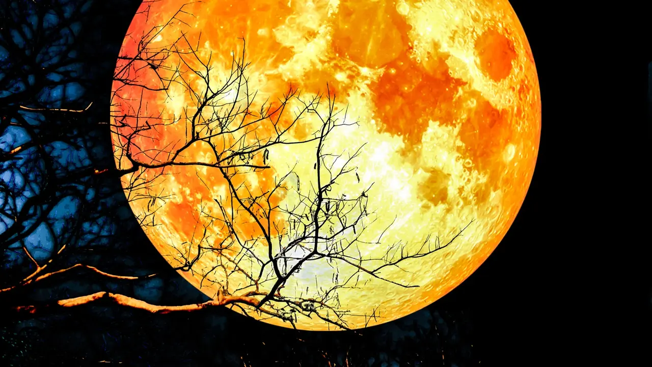 Super Blood Wolf Moon