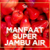 Manfaat Super Jambu Air untuk Kesehatan