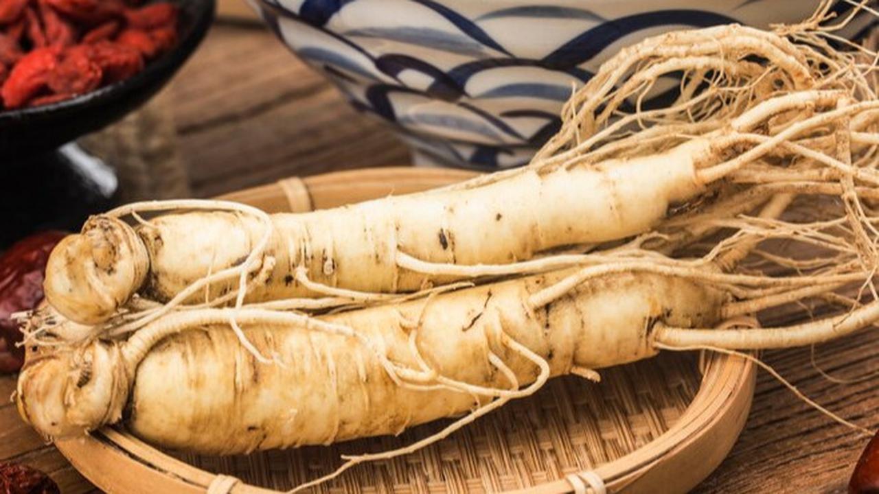 Mengungkap Khasiat Akar Ginseng, Herbal Alami untuk Daya Tahan Tubuh