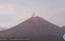 Gunung Semeru Erupsi Lagi, Kolom Abu Capai 700 Meter di Atas Puncak!