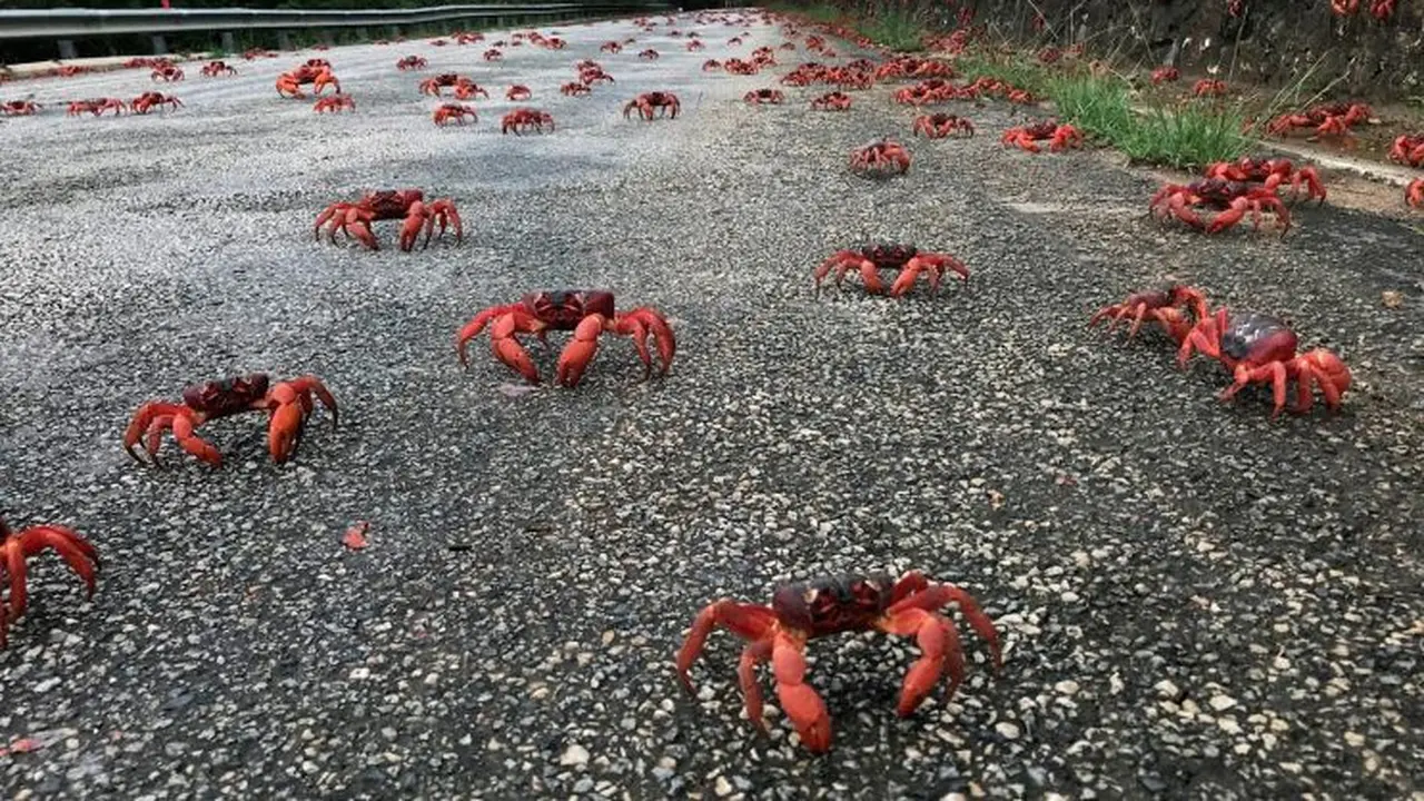 Jalanan di Pulau Ini Mengalami Kemacetan Luar Biasa (Autoblog)