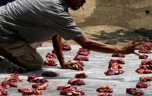 Tips Penyimpanan Daging Kurban agar Awet dan Tetap Bernutrisi