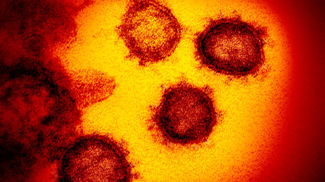 Virus Corona COVID-19 dari Mikroskop