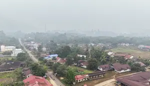 Kemenkes: ISPA akibat Kebakaran Hutan Capai 113.336 Kasus di 7 Provinsi