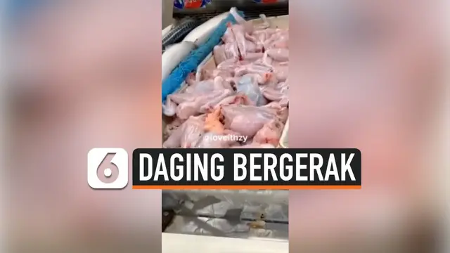 VIDEO: Daging Kodok Bergerak Sendiri, Padahal Sudah Dikuliti