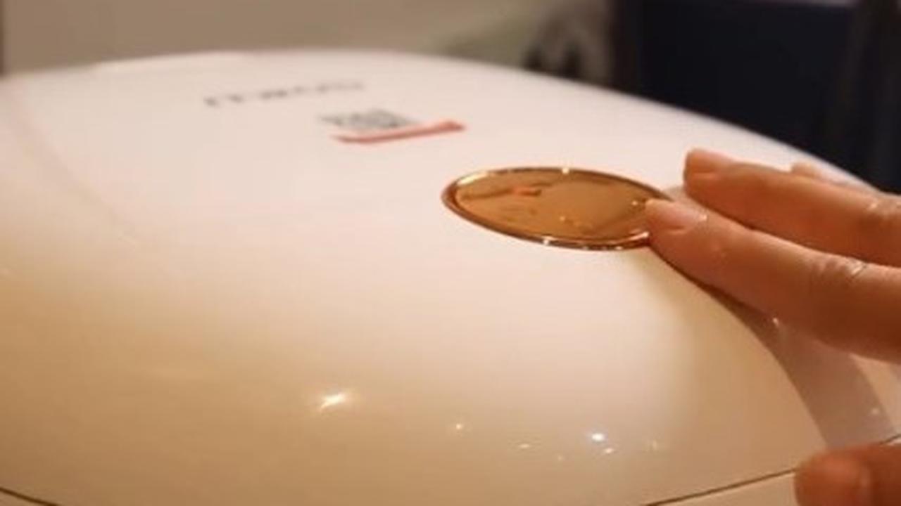Shireen Sungkar Bagikan Resep Nasi Hainan Rice Cooker untuk Buka Puasa, sang Anak: Enak Banget