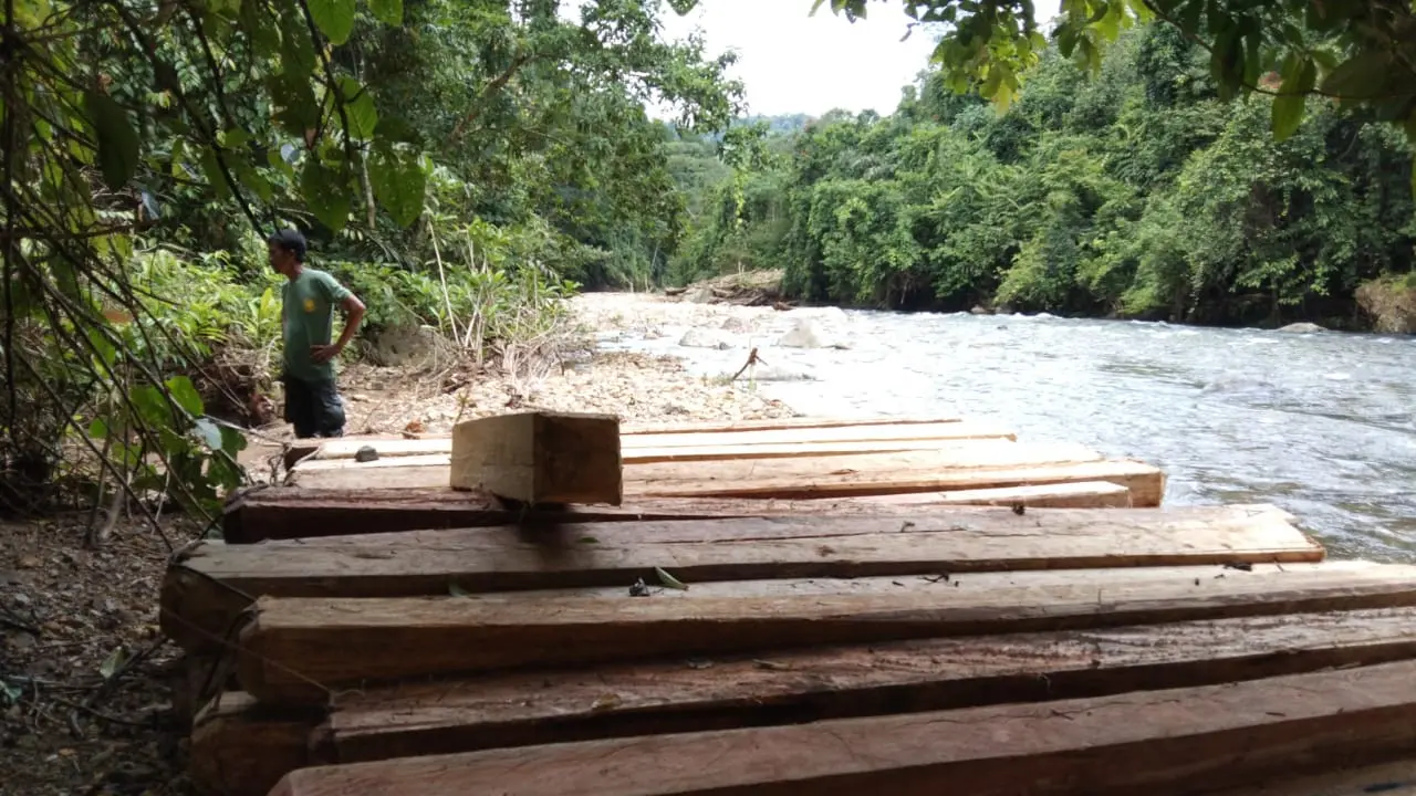 Balok-balok kayu yang diambil pelaku dari Taman Nasional Kerinci Seblat. (Liputan6.com/ ist)