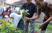 Wali Kota Makassar Ajak Warga Manfaatkan Urban Farming untuk Ketahanan Pangan
