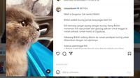 Eril Anak Ridwan Kamil Punya Kucing Kesayangan Dipanggil Neng Euis. (Instagram @ridwankamil)