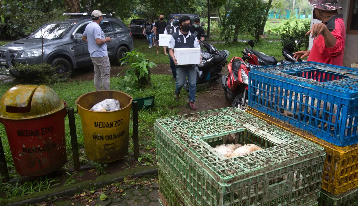 Orang-orang membawa sekotak buah-buahan ketika menyumbangkan makanan untuk Kebun Binatang Medan pada 3 Mei 2020. Sumbangan buah-buahan, sayuran dan daging datang setiap hari setelah manajemen kebun binatang meminta bantuan pihak luar untuk mengatasi ancaman kelaparan satwa. (AP/Binsar Bakkara)