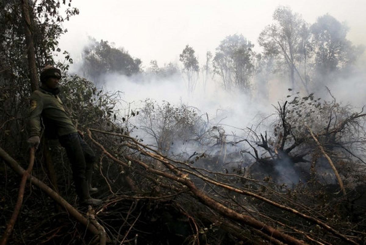 Kisah heroik warga Sumsel bantu padamkan kebakaran hutan