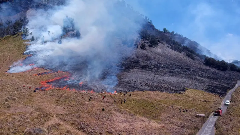Kebakaran di Taman Nasional Bromo Tengger Semeru, dari Bantengan Menjalar ke Pos Jemplang