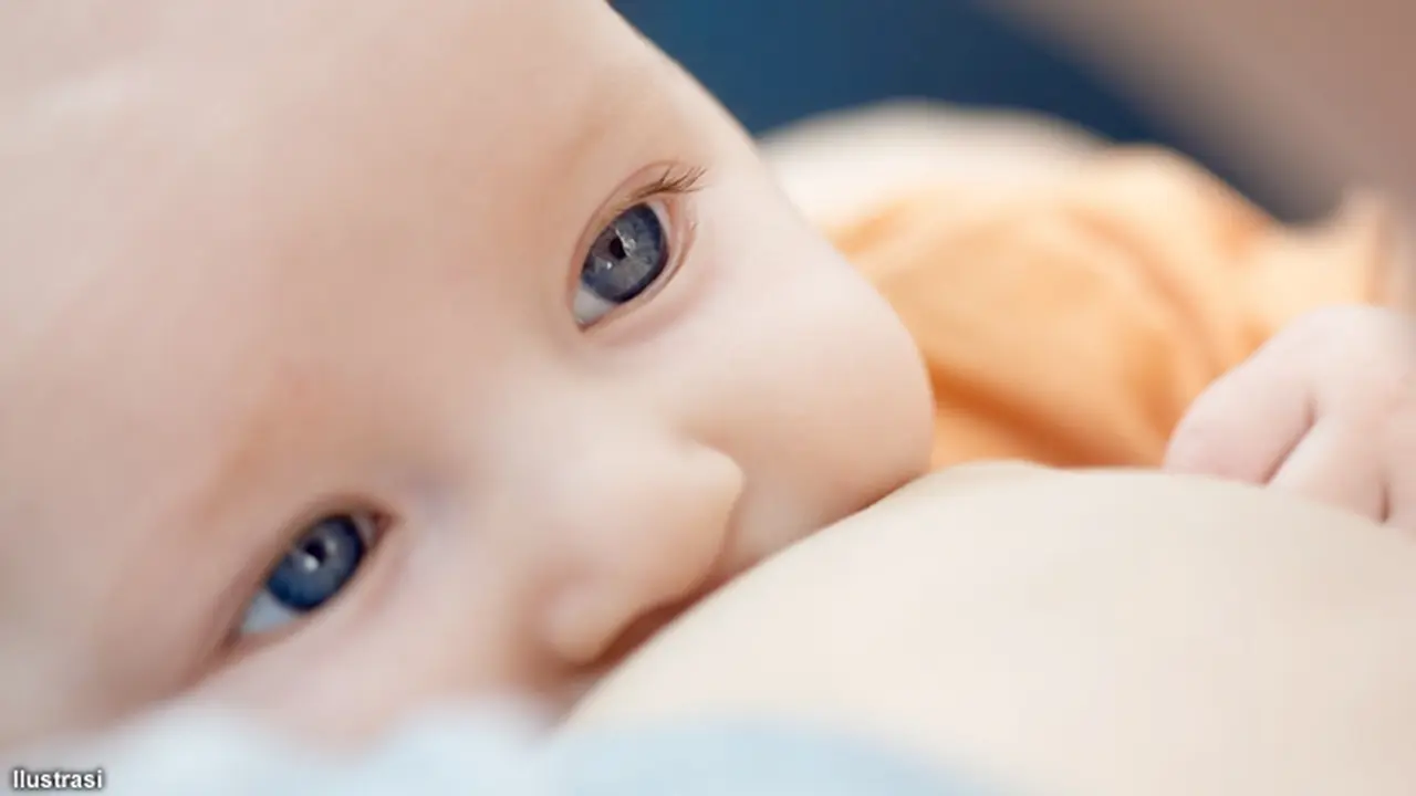 asi-bayi-130828c.jpg
