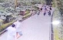 Tempat Wisata Monkey Forest Bali Ditutup Sementara Usai Pohon Tumbang Timpa 2 Turis Berujung Tewas