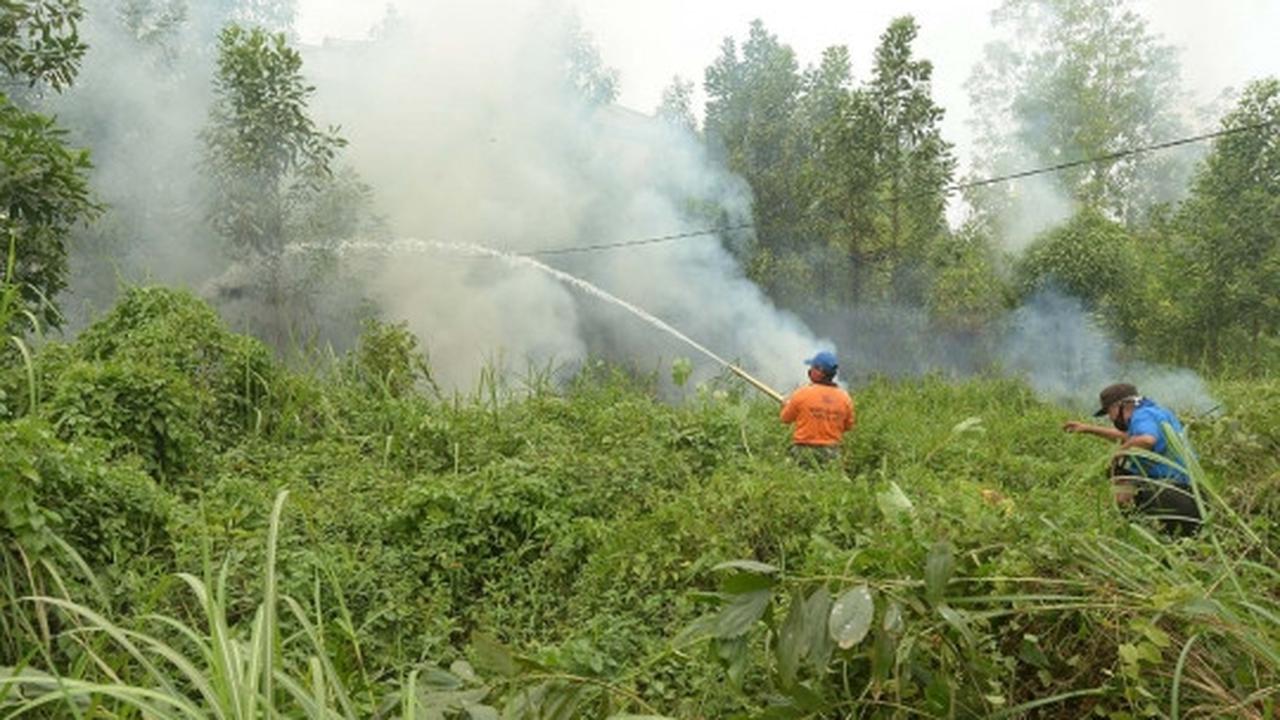 Aksi tim gabungan terobos asap tebal padamkan kebakaran hutan Riau
